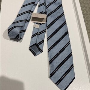 Paolo Albizzati Blue Striped Men's Tie